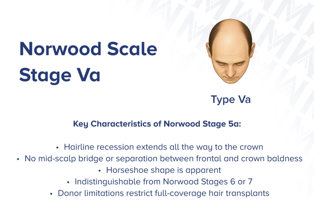 Infographic showcasing  the side profile and front view of Norwood type 5a with key characteristics of the stage