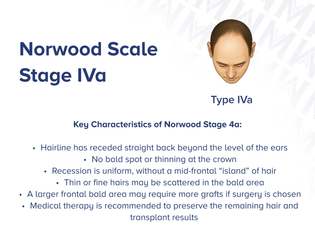 Infographic showcasing  the side profile and front view of Norwood type 4a with key characteristics of the stage