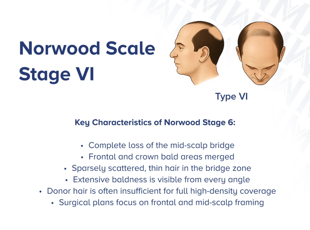 Infographic showcasing  the side profile and front view of Norwood type 6 with key characteristics of the stage