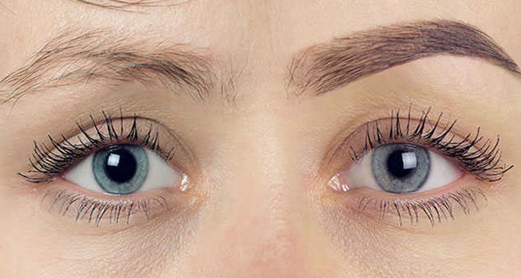eyebrow transplant