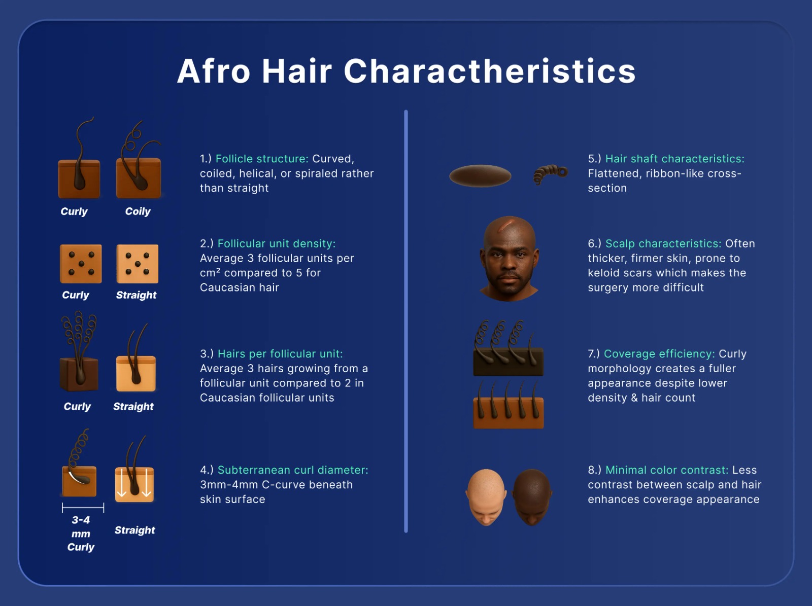 afro-hair-charactheristics